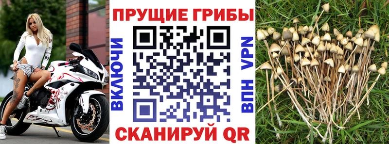 Галлюциногенные грибы мухоморы  Белая Калитва 