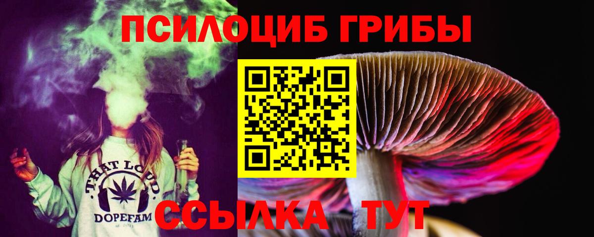 Псилоцибиновые грибы Psilocybe Белая Калитва