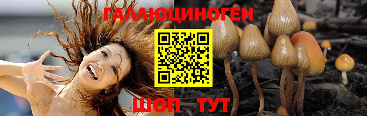 Псилоцибиновые грибы ЛСД  Вход с VPN  Белая Калитва  Галлюциногенные грибы Cubensis 