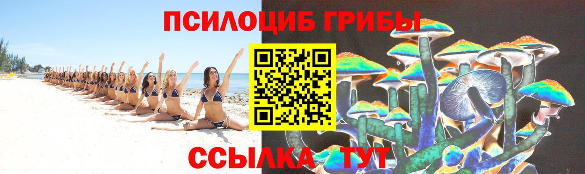 Галлюциногенные грибы мицелий  Белая Калитва 